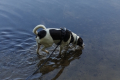 Pootje baden